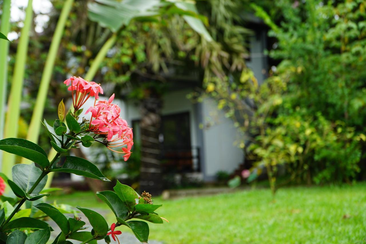 Salty River Resort Kampot Exterior foto